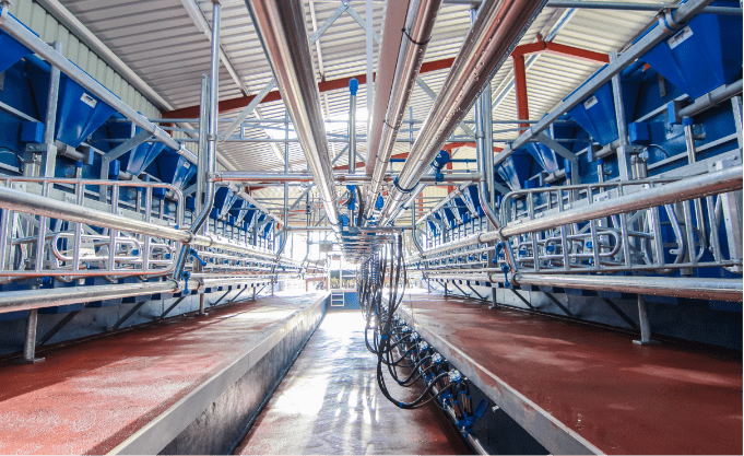 Dairymaster Milking Parlour