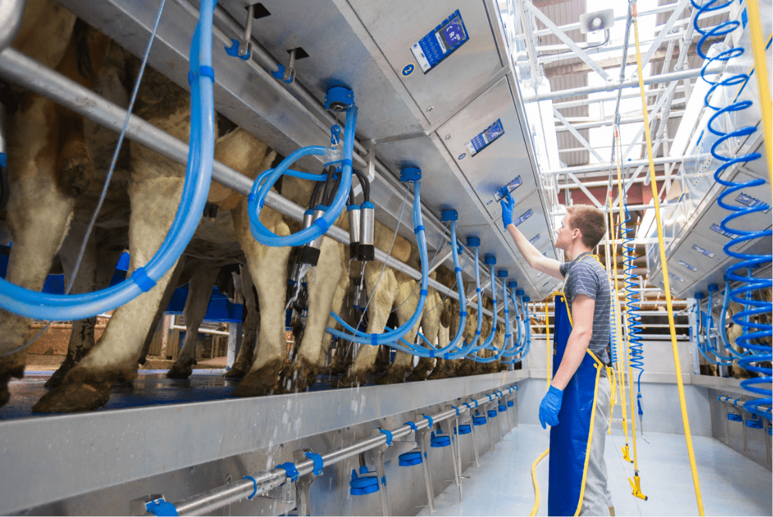 Dairymaster Milking Parlour