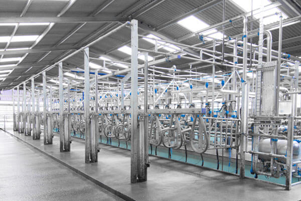 Dairymaster Stallwork options