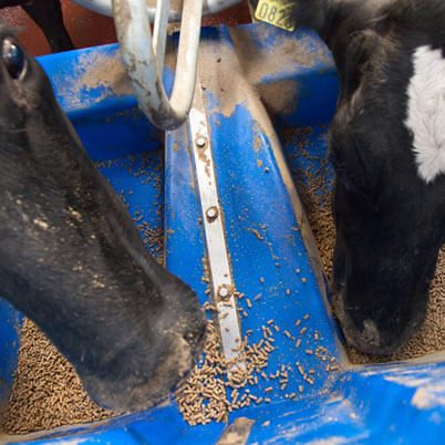 Dairymaster Accurate feeding for all round profits