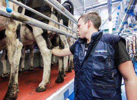 Dairymaster Decrease labour. Increase returns