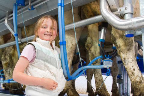 Dairymaster Milking made easy