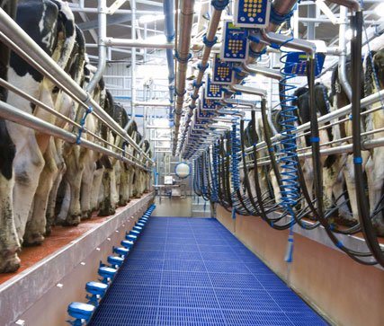 Dairymaster Milking parlour overview page