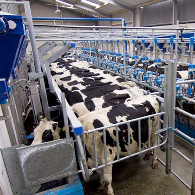 Dairymaster More milk from the same cows