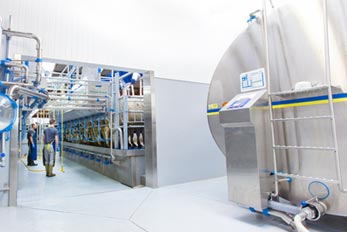 Dairymaster Koelsystemen