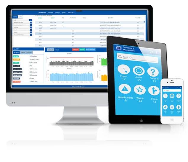 Dairymaster MooMonitor+ telefoon & web app