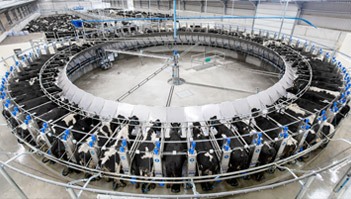 Dairymaster Rotary Parlor