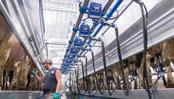 Dairymaster Swing Herringbone