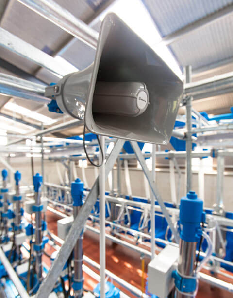 Dairymaster voice assist in milking parlour