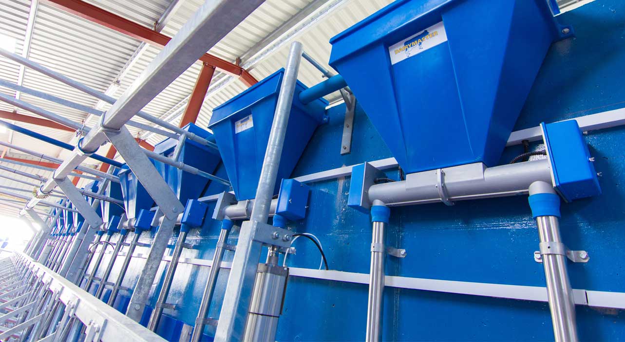 automatic cattle feeders for sale