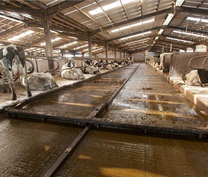 Reduce workload on the farm