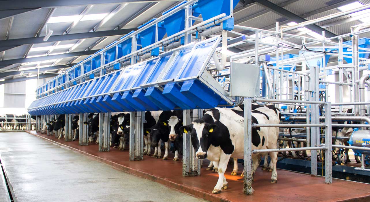Fast Exit Dairymaster