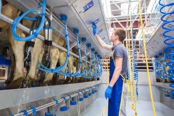 Stainless-Steel-Double-10-Milking-Parlour