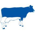 www.dairymaster.com